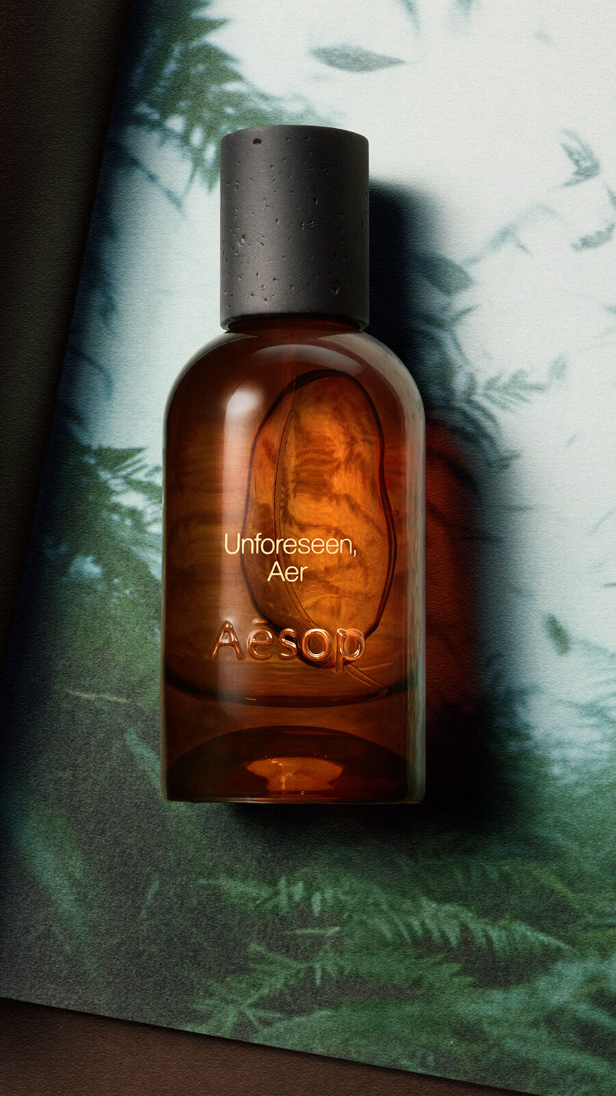 Aesop Unforeseen, Aer Eau de Parfum bottle with black cap against a dark green fern backdrop with soft mottled light.