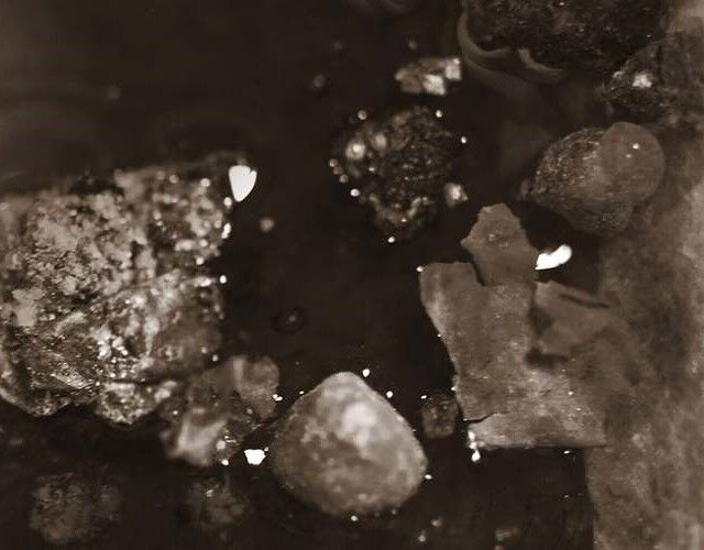 「魅惑的な」画像