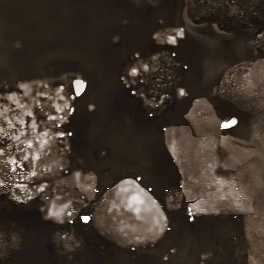 「魅惑的な」画像