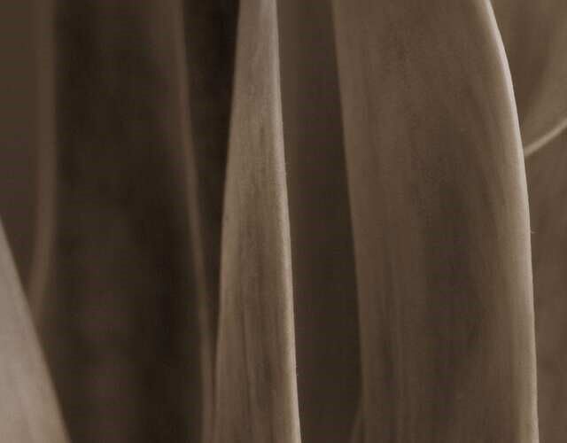 「ウッディ」画像