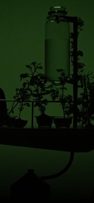 「ゼラニウム ボディケア」バナー