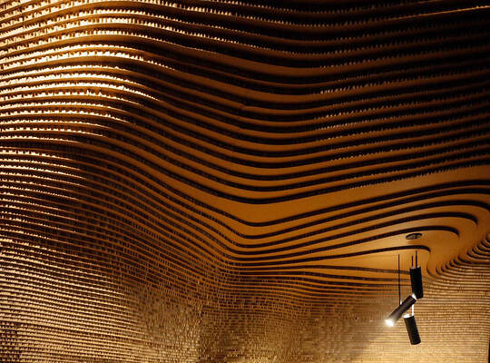 「肌の構造と生理学」画像