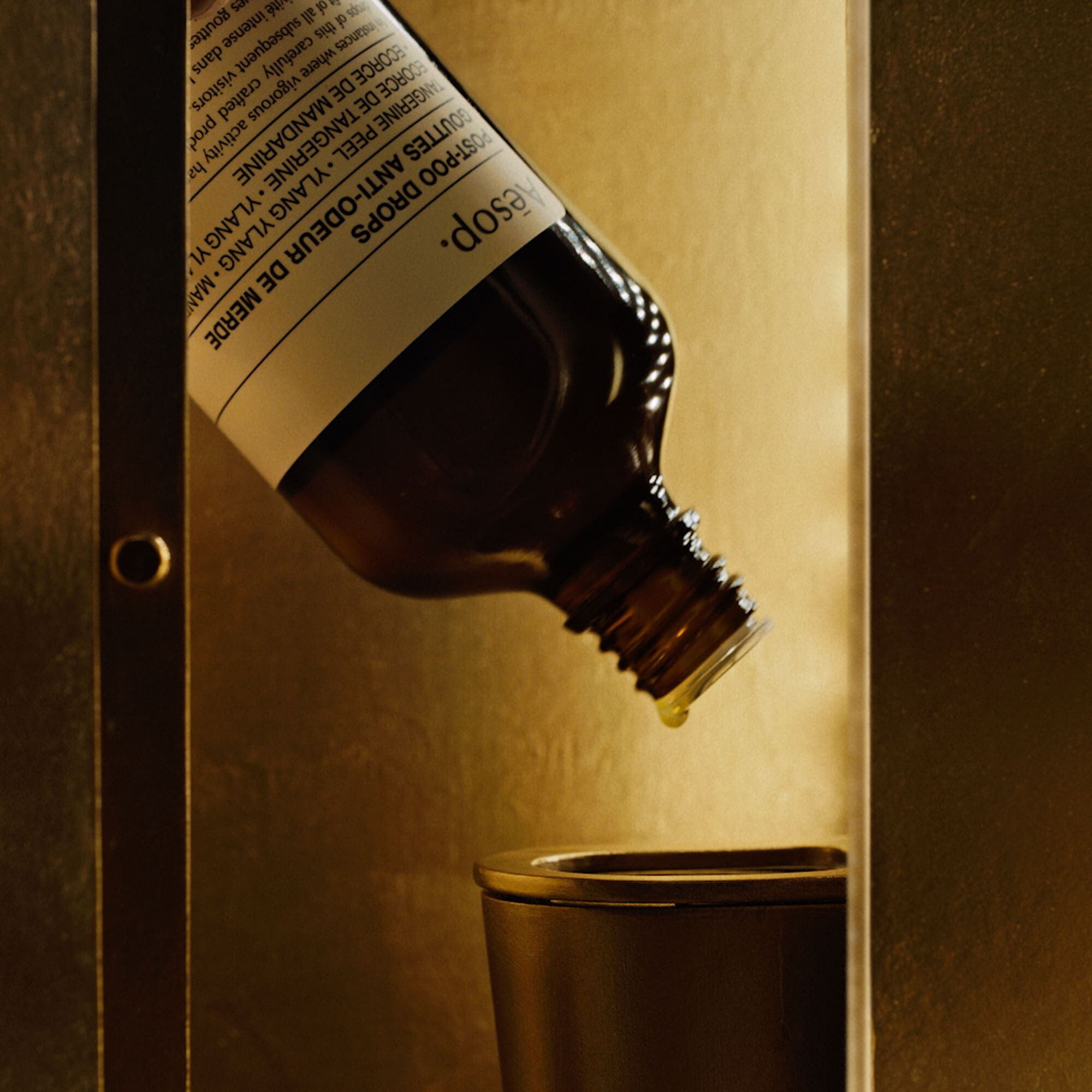 ディグニティ イン ザ ラヴァトリー