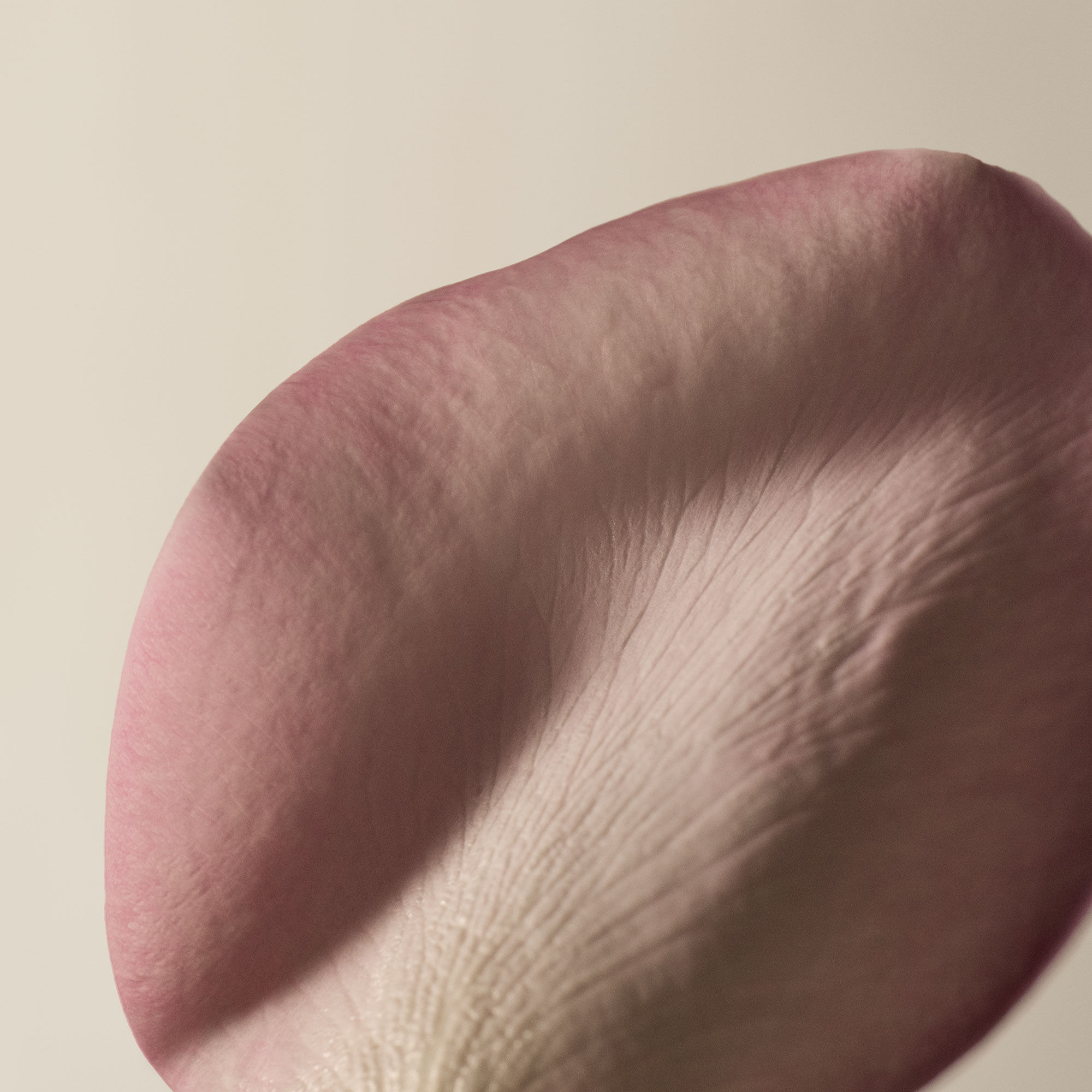 ダマスカン ローズ ボディクレンザー