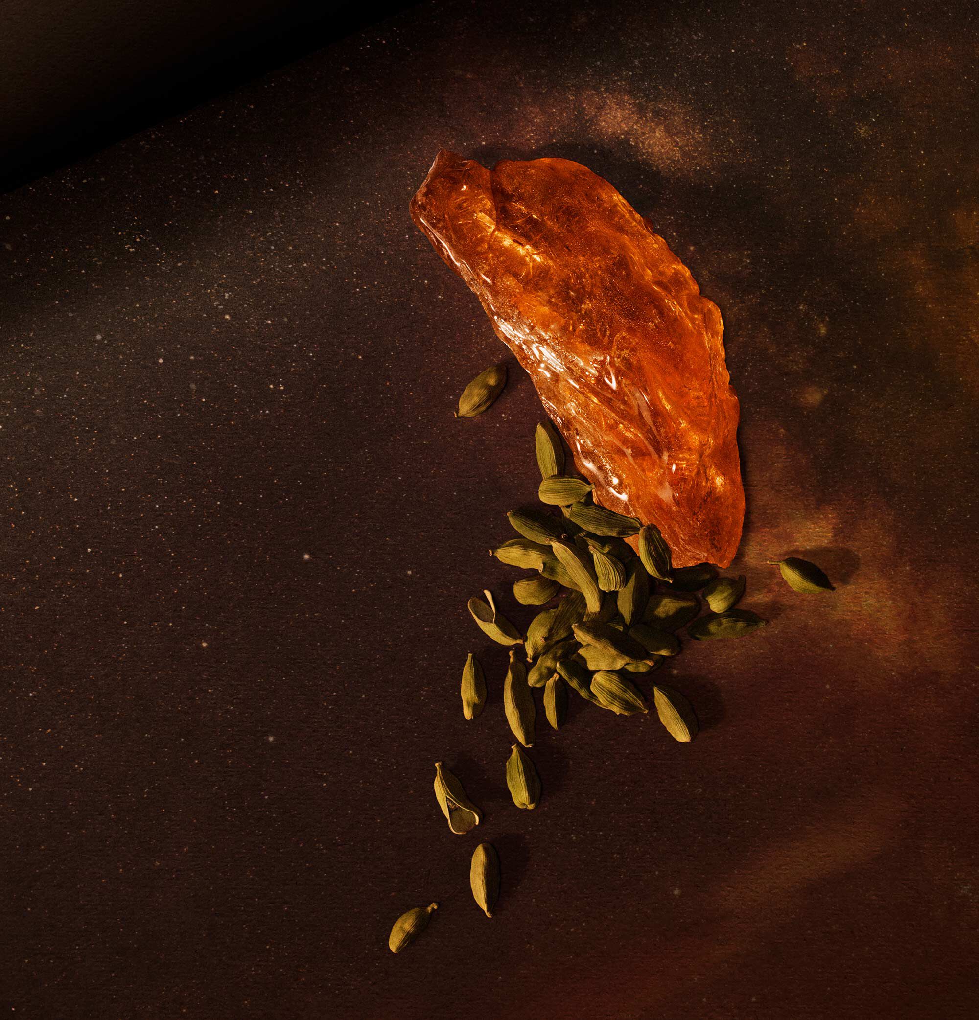 アバヴ アス、ステオーラ オードパルファム | フレグランス | Aesop