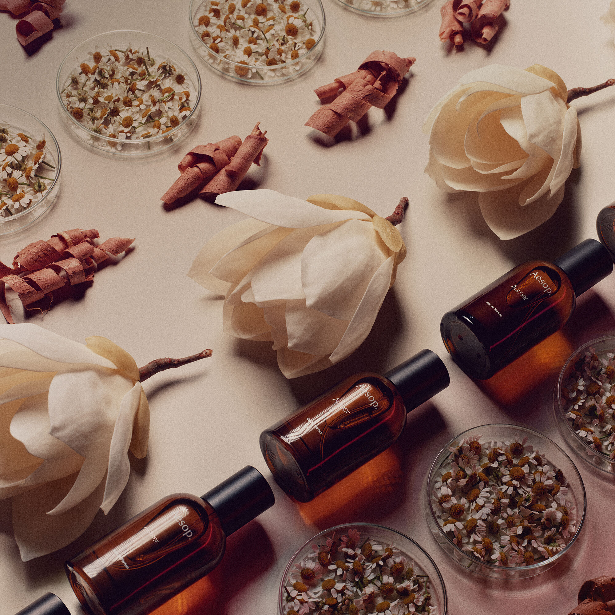 オルナー オードパルファム