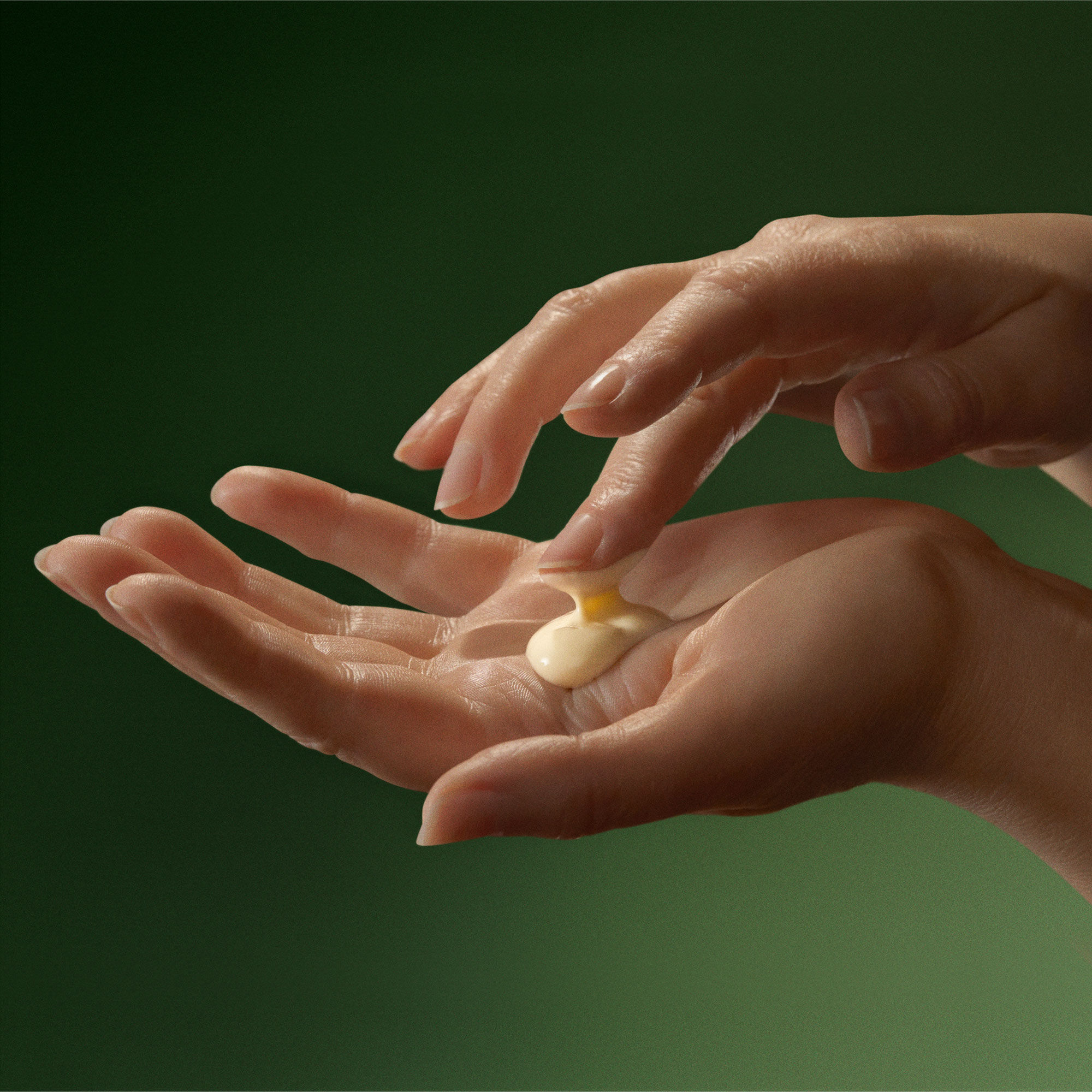 ゼラニウム リーフ デュエット