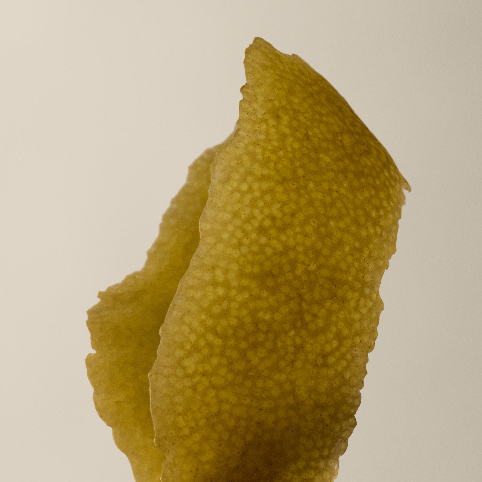 シトラス メランジュ ボディクレンザー