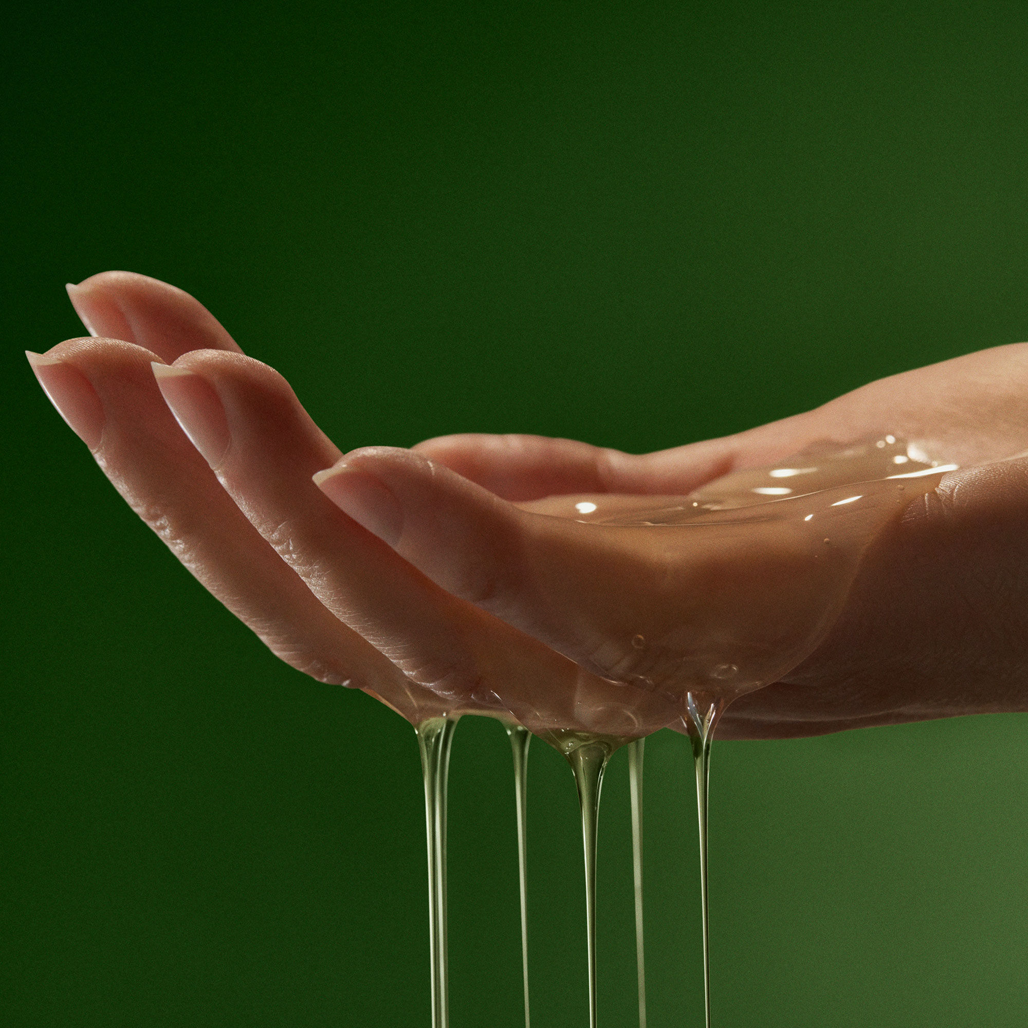 ゼラニウム リーフ デュエット