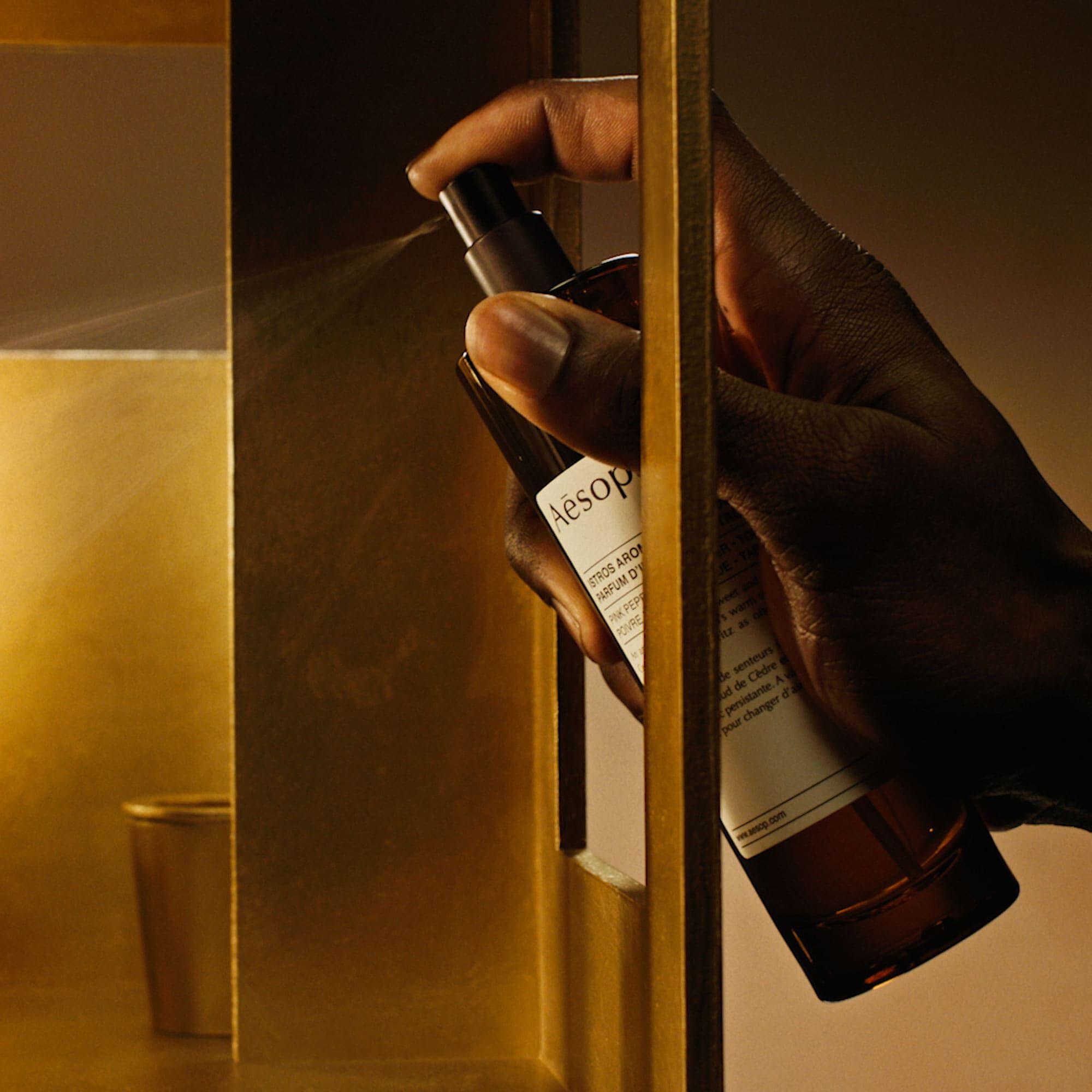 ディグニティ イン ザ ラヴァトリー