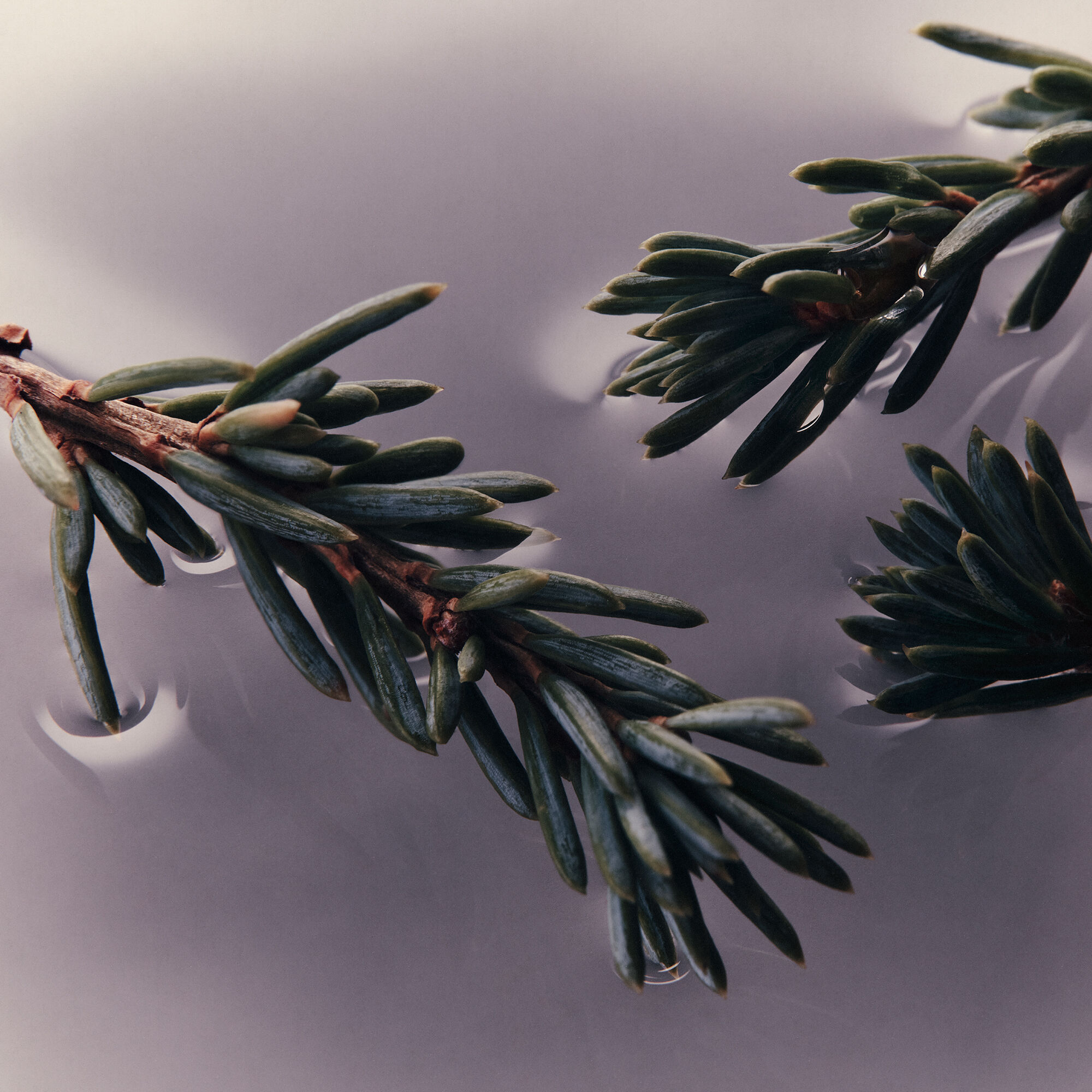 エレオス クリーム ボディクレンザー