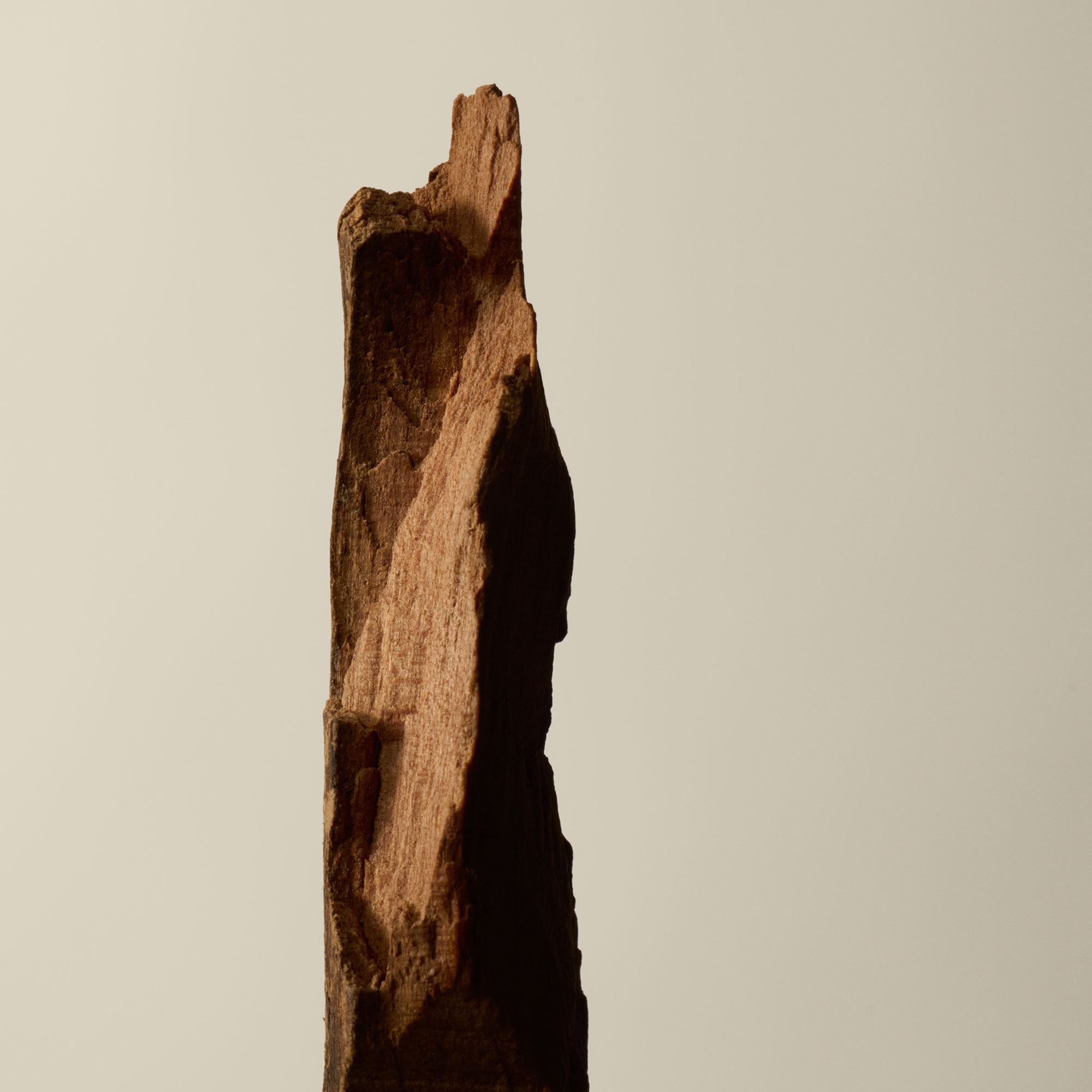 イソップ サラシナ アロマティック インセンス