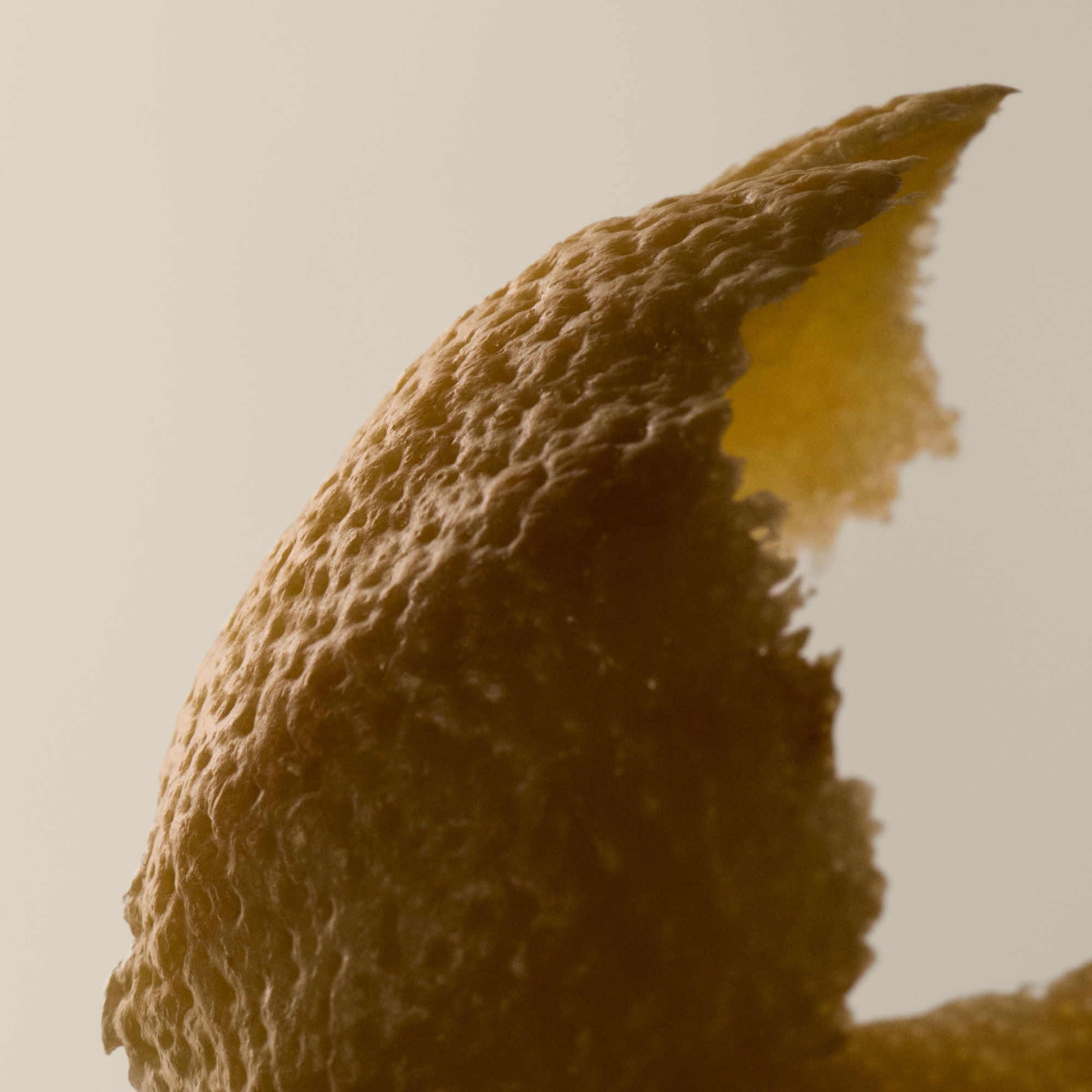 ゼラニウム ボディクレンザー