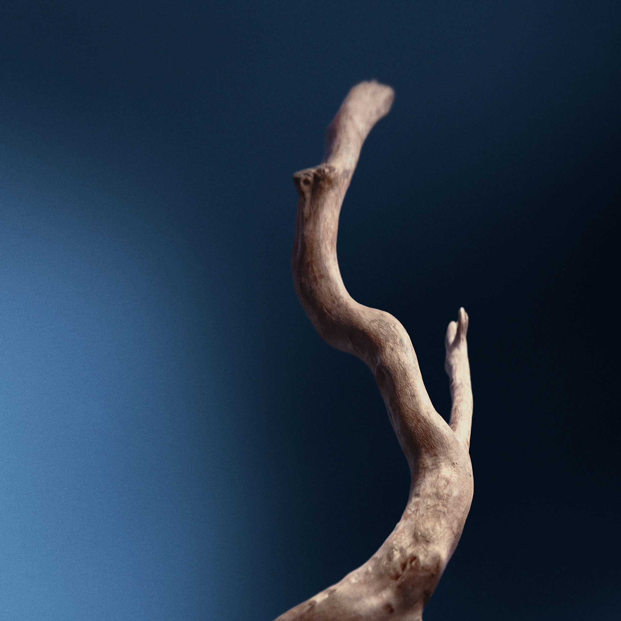 レゾルート フェイシャル コンセントレイト