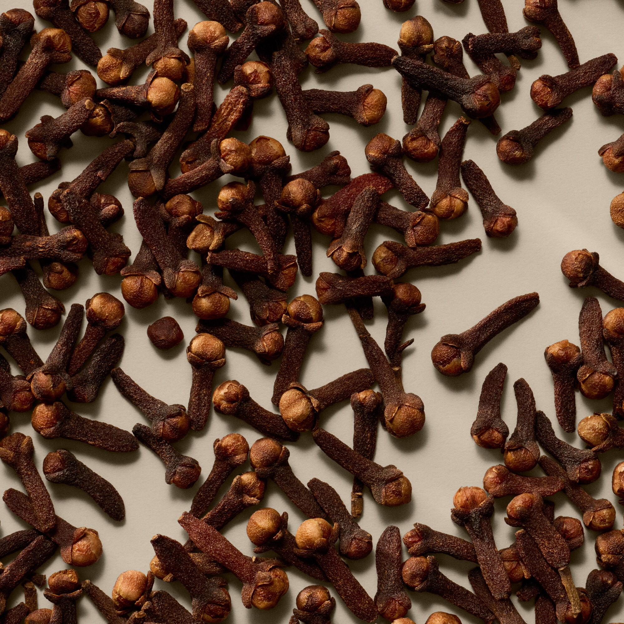 イソップ サラシナ アロマティック インセンス