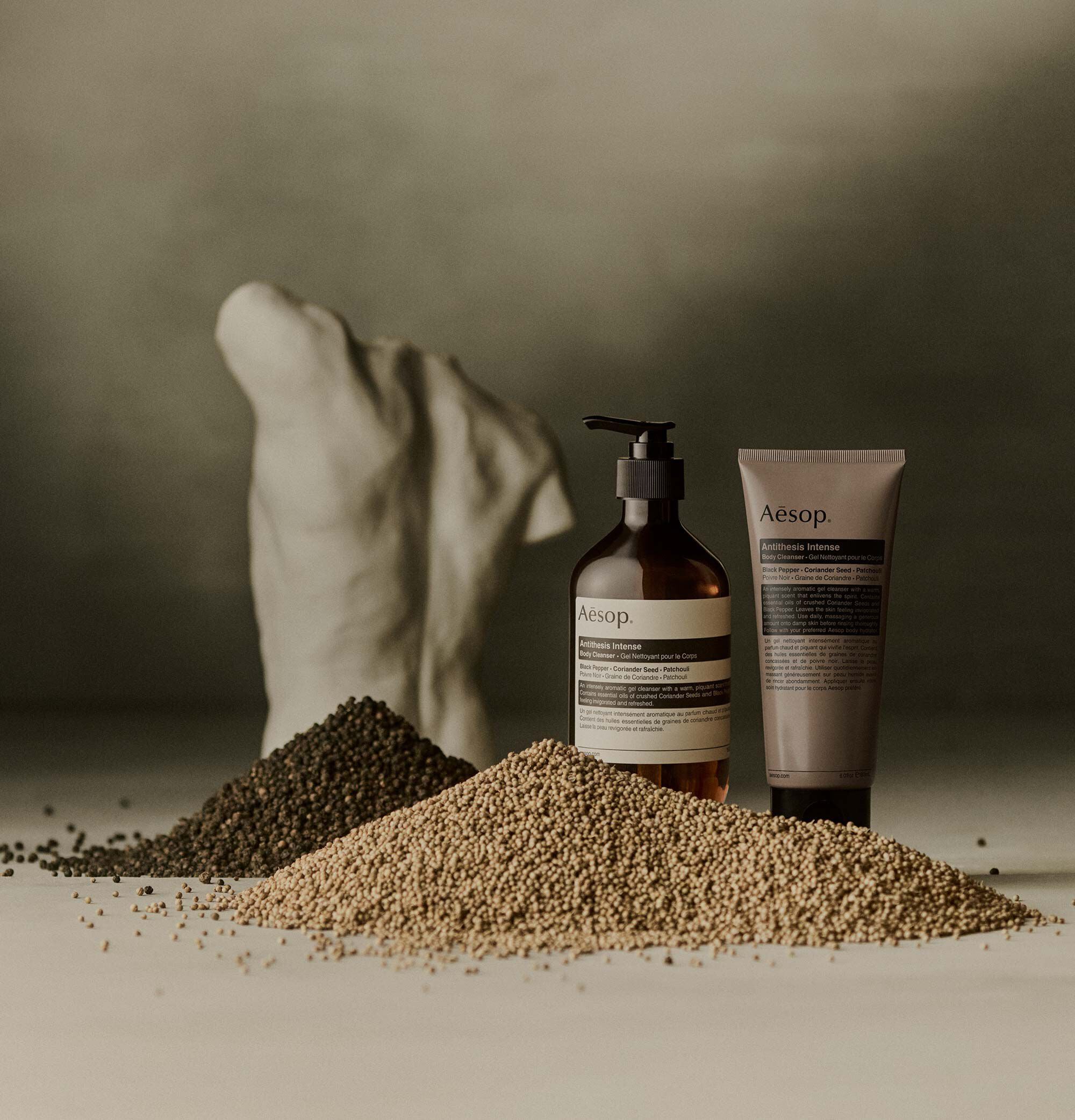 アンティセシス インテンス ボディクレンザー | Aesop（イソップ）日本