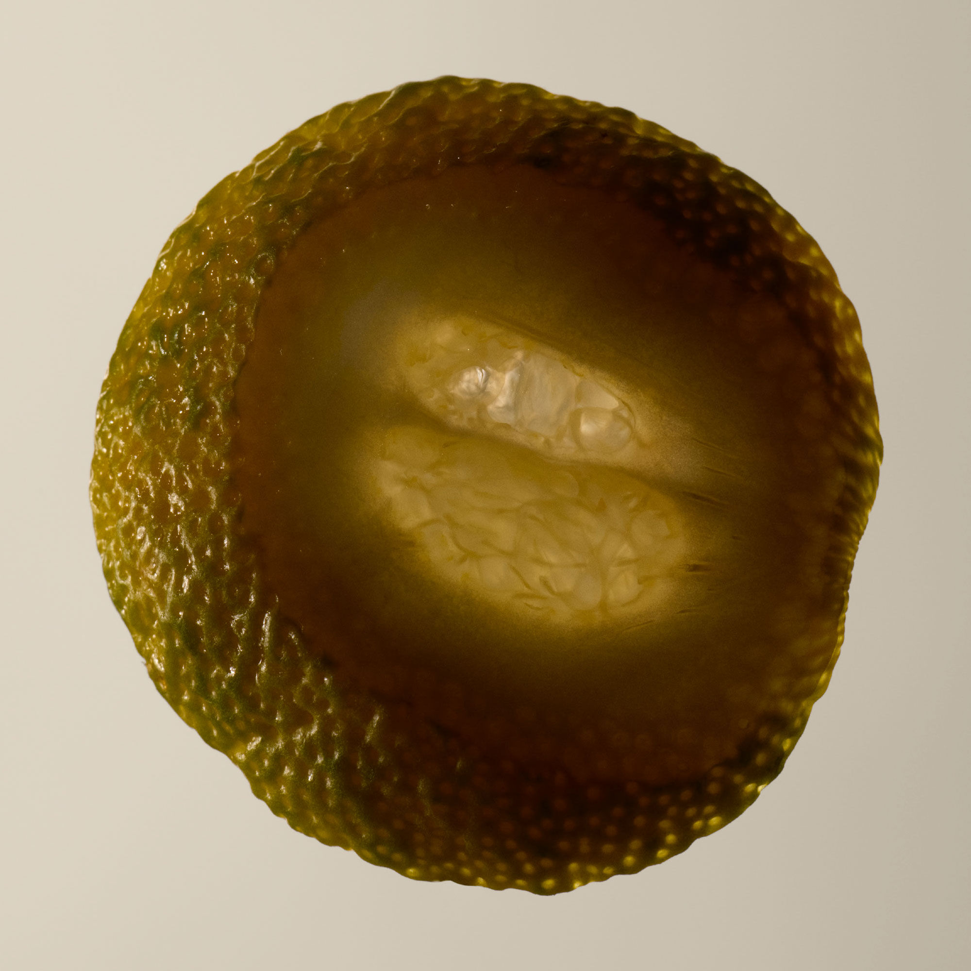 タシット オードパルファム