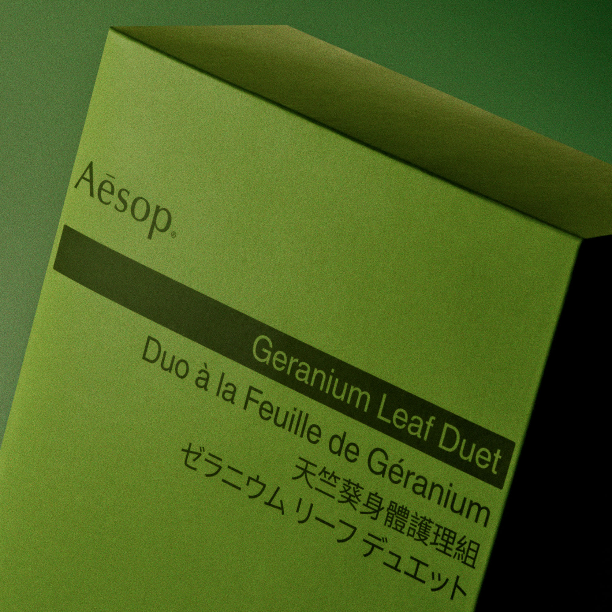 ゼラニウム リーフ デュエット